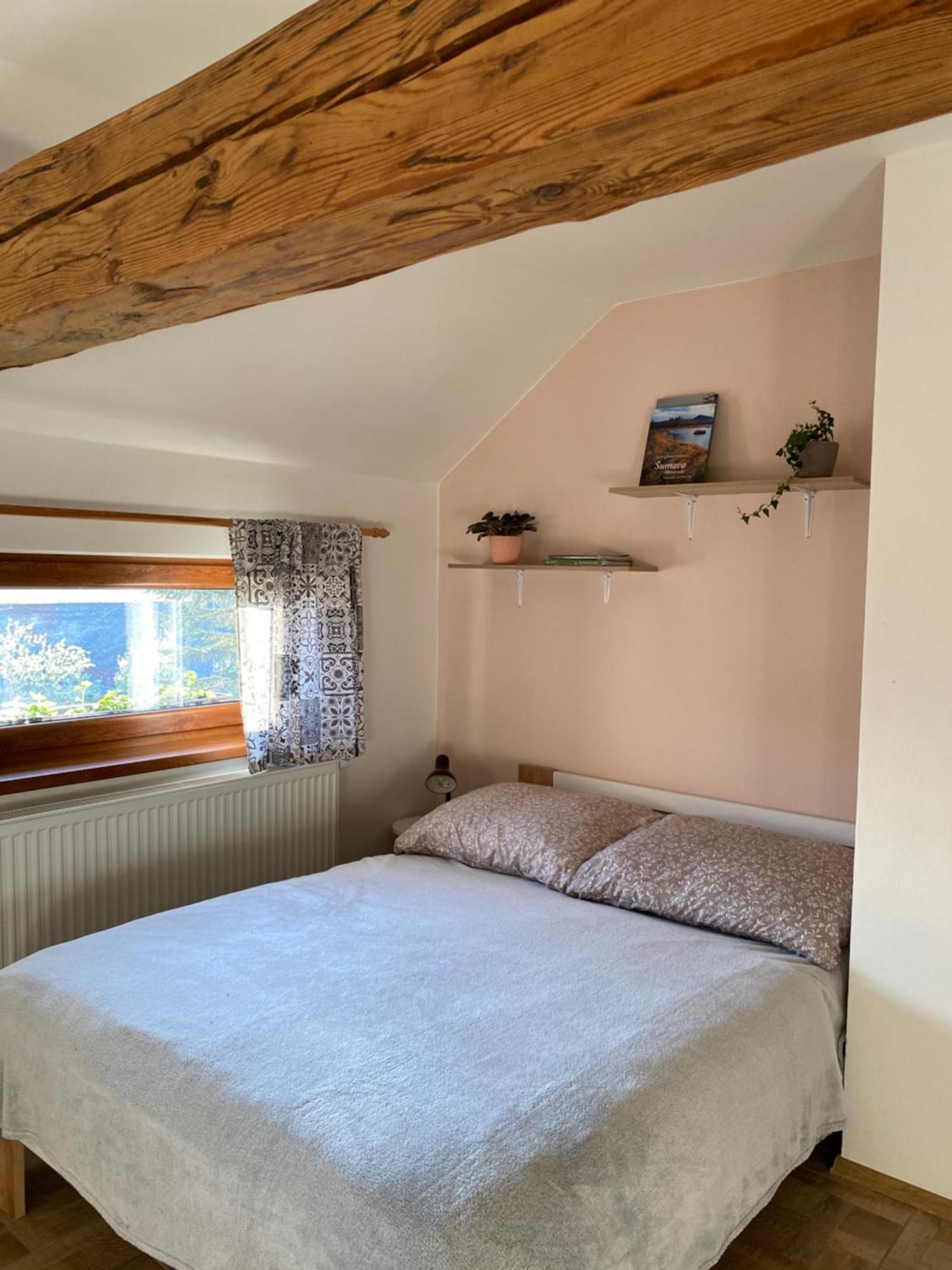 Apartman Na Vrsku Klenovice  外观 照片