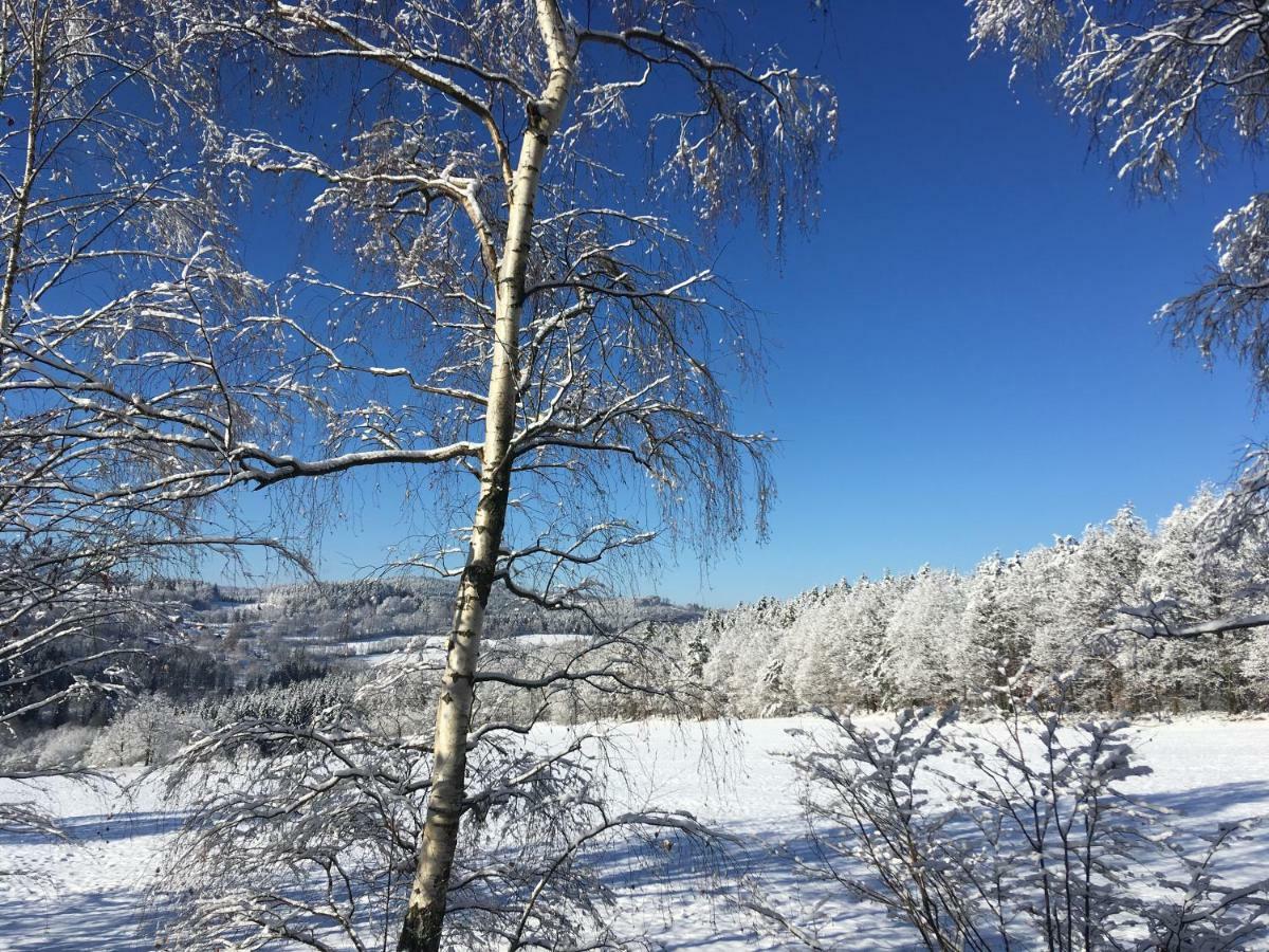 Apartman Na Vrsku Klenovice  外观 照片